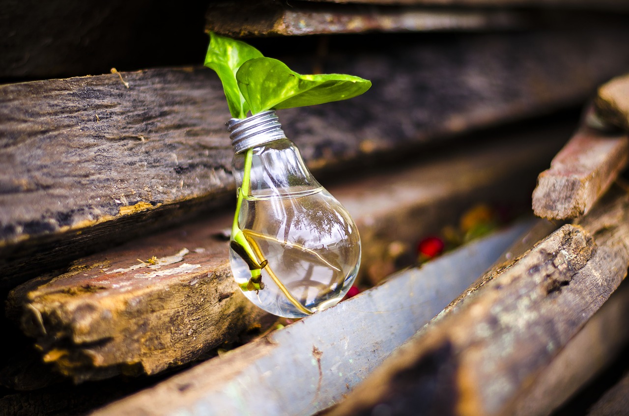 bulb, light, recycle
